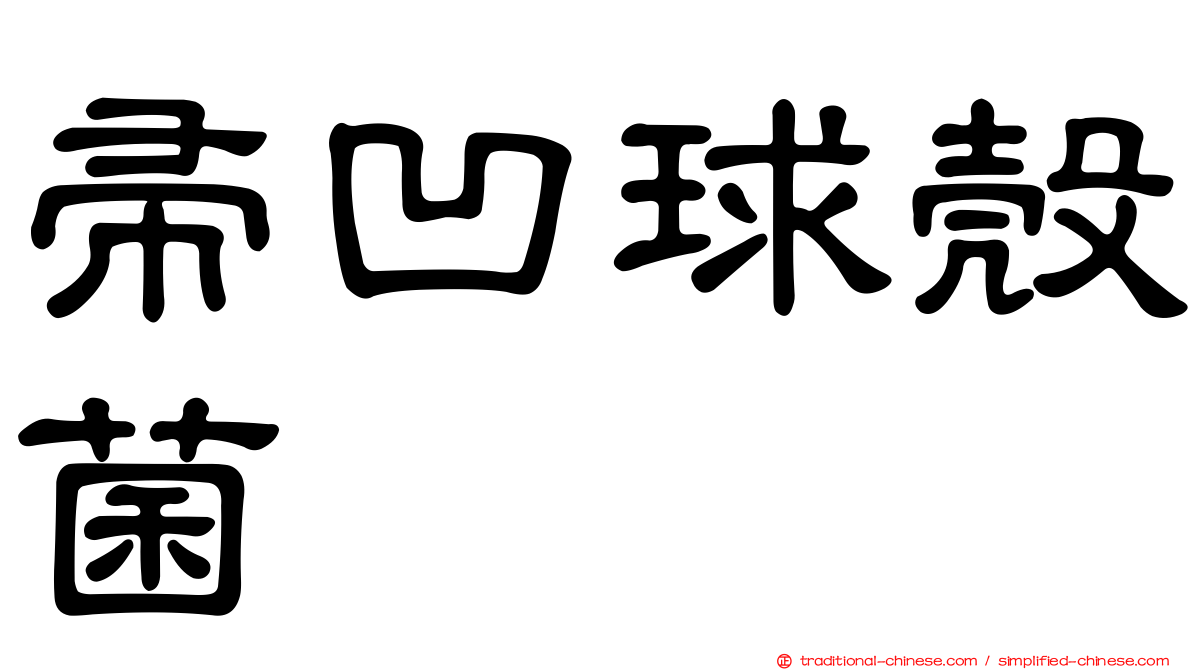帚凹球殼菌