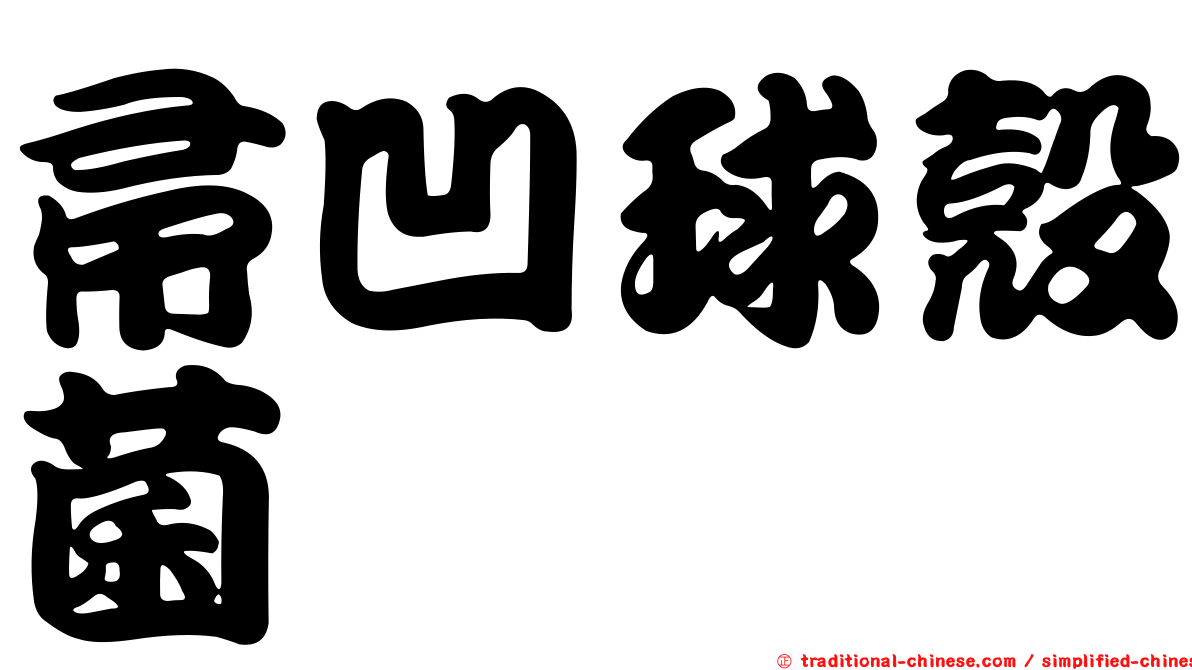 帚凹球殼菌