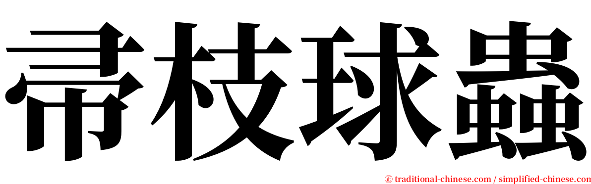 帚枝球蟲 serif font