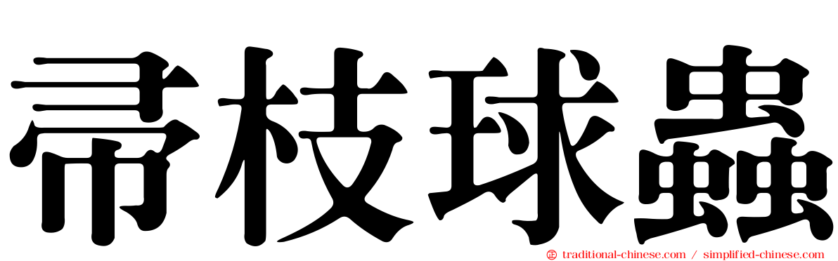 帚枝球蟲