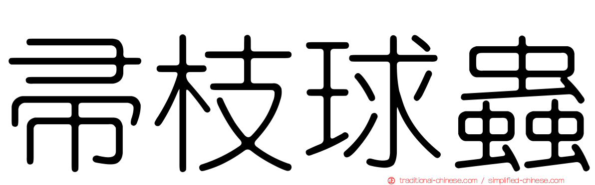 帚枝球蟲