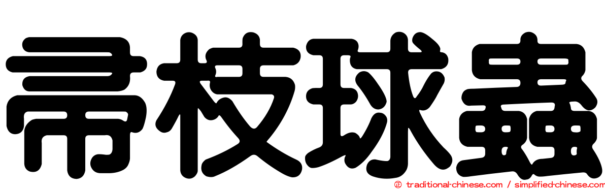 帚枝球蟲