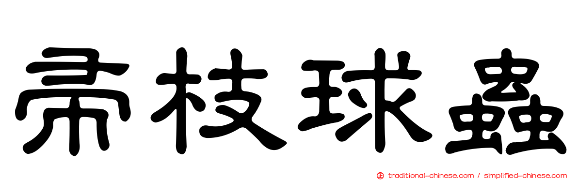 帚枝球蟲