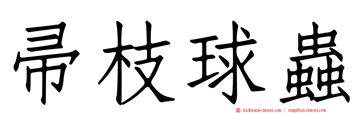 帚枝球蟲