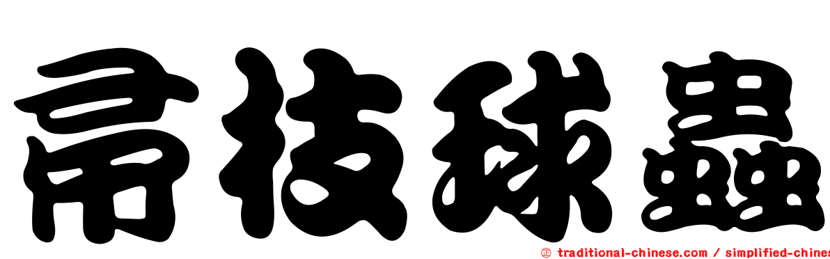 帚枝球蟲
