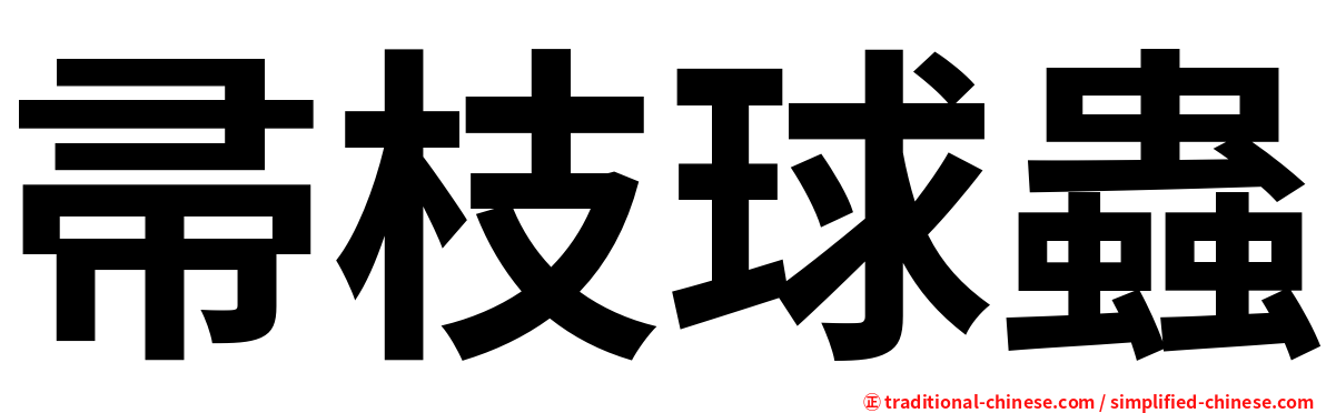 帚枝球蟲