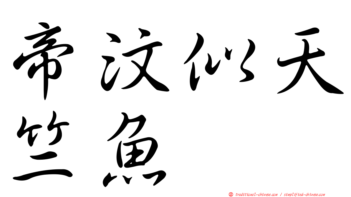帝汶似天竺魚