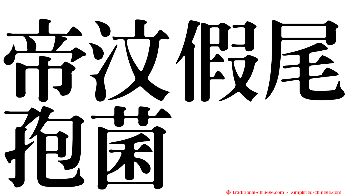帝汶假尾孢菌