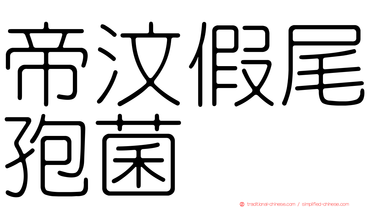 帝汶假尾孢菌