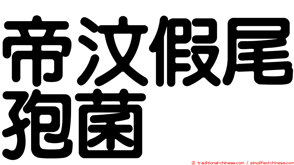 帝汶假尾孢菌