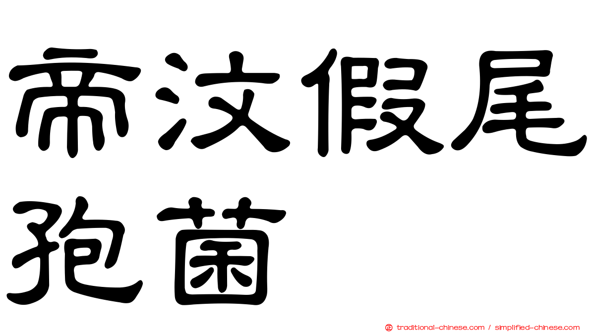帝汶假尾孢菌
