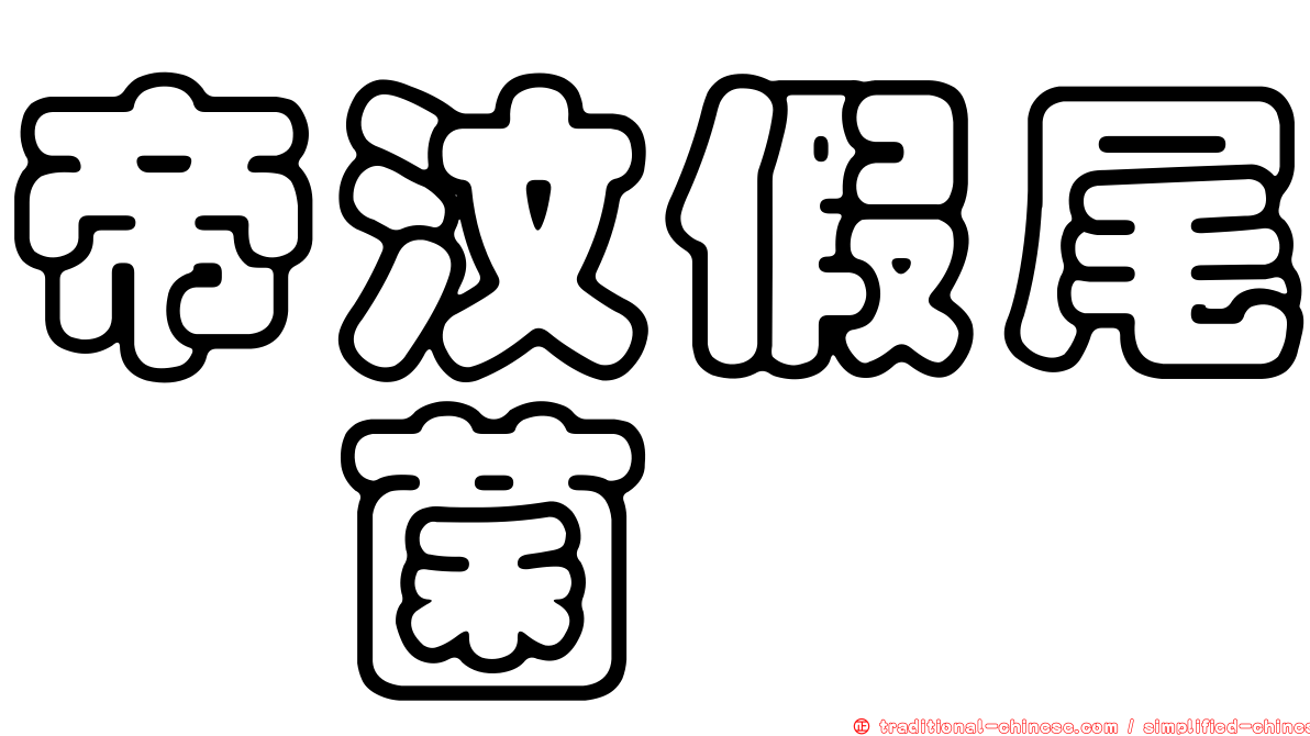 帝汶假尾孢菌