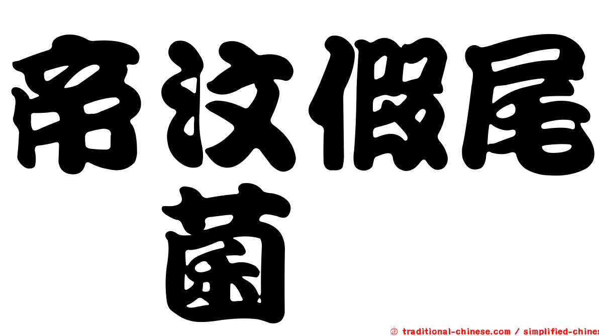 帝汶假尾孢菌