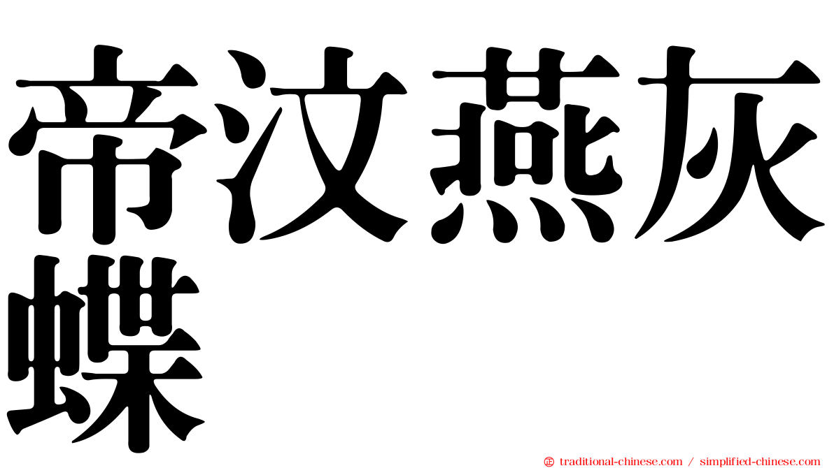 帝汶燕灰蝶