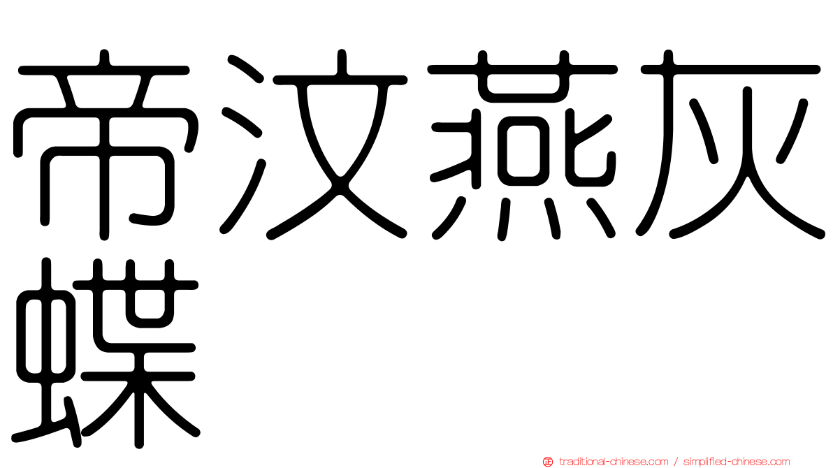 帝汶燕灰蝶