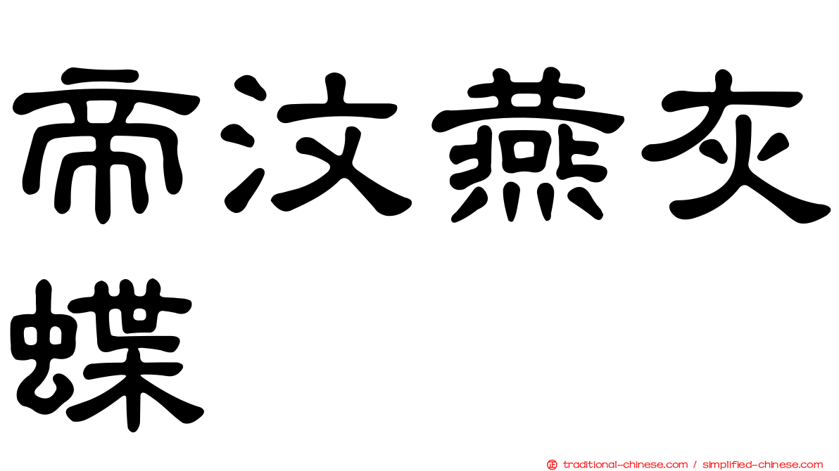 帝汶燕灰蝶