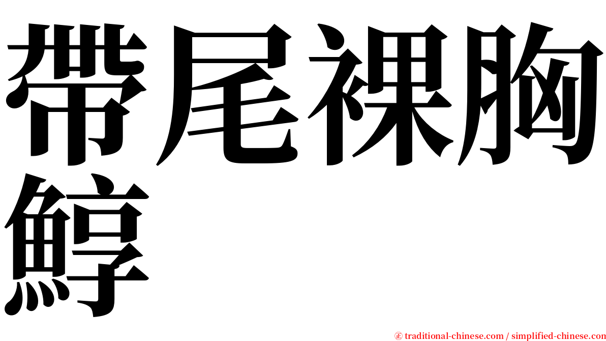 帶尾裸胸鯙 serif font