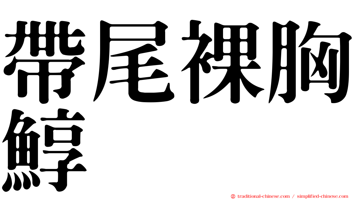 帶尾裸胸鯙