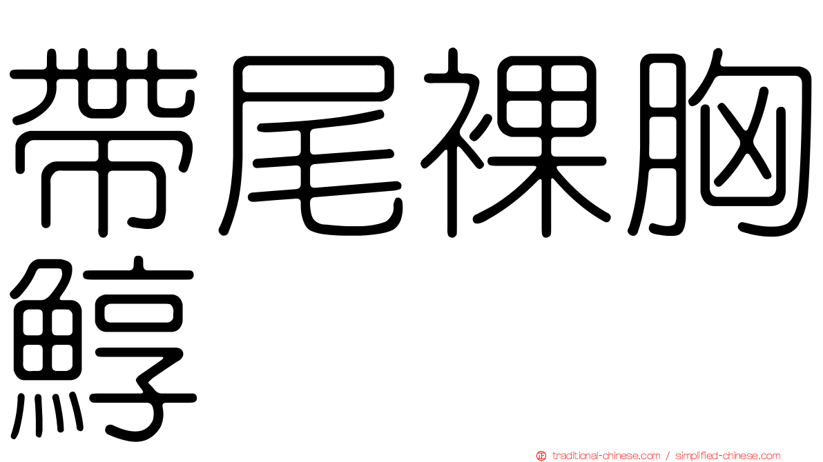 帶尾裸胸鯙