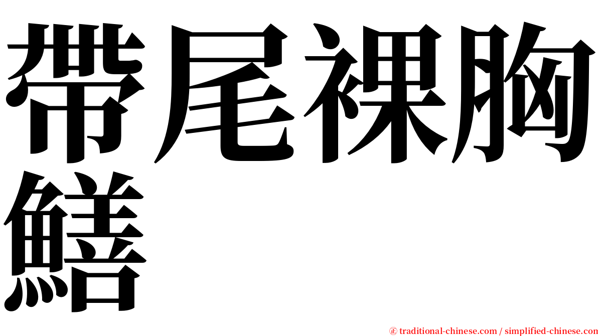 帶尾裸胸鱔 serif font