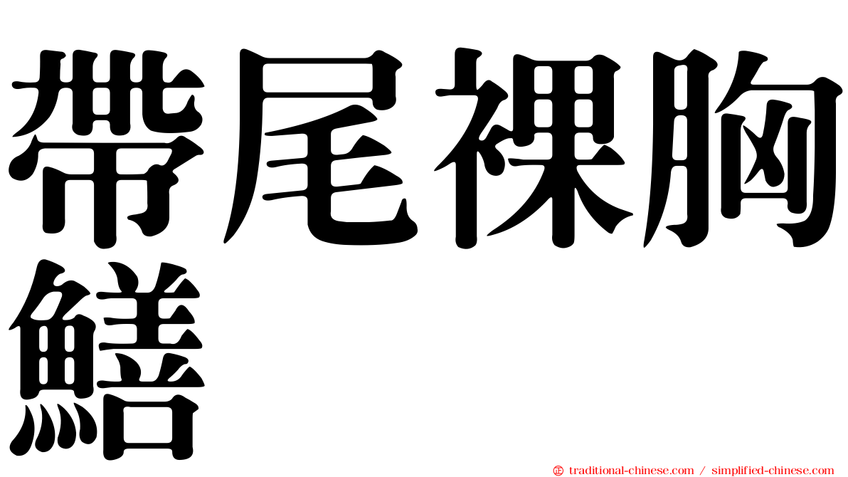 帶尾裸胸鱔