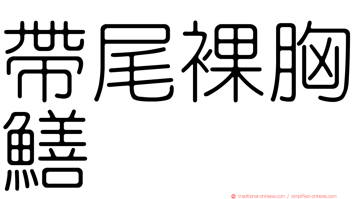 帶尾裸胸鱔