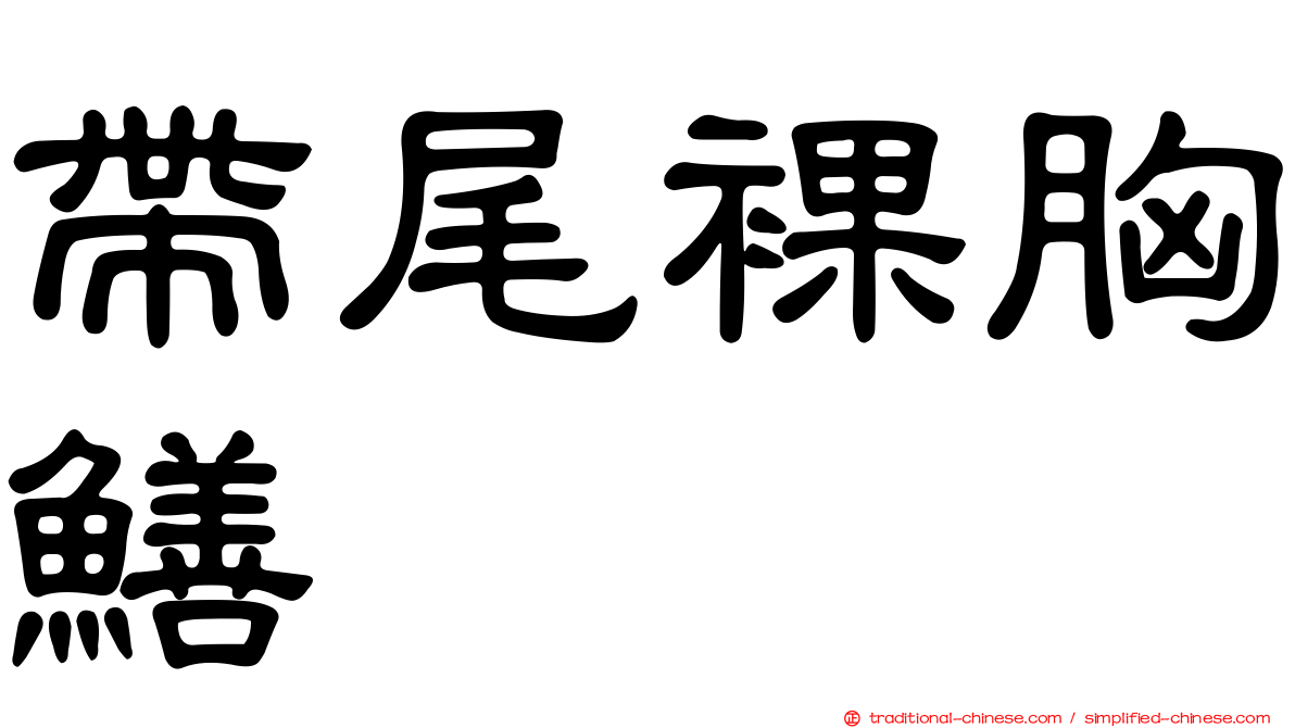 帶尾裸胸鱔