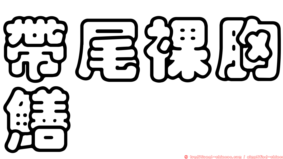 帶尾裸胸鱔