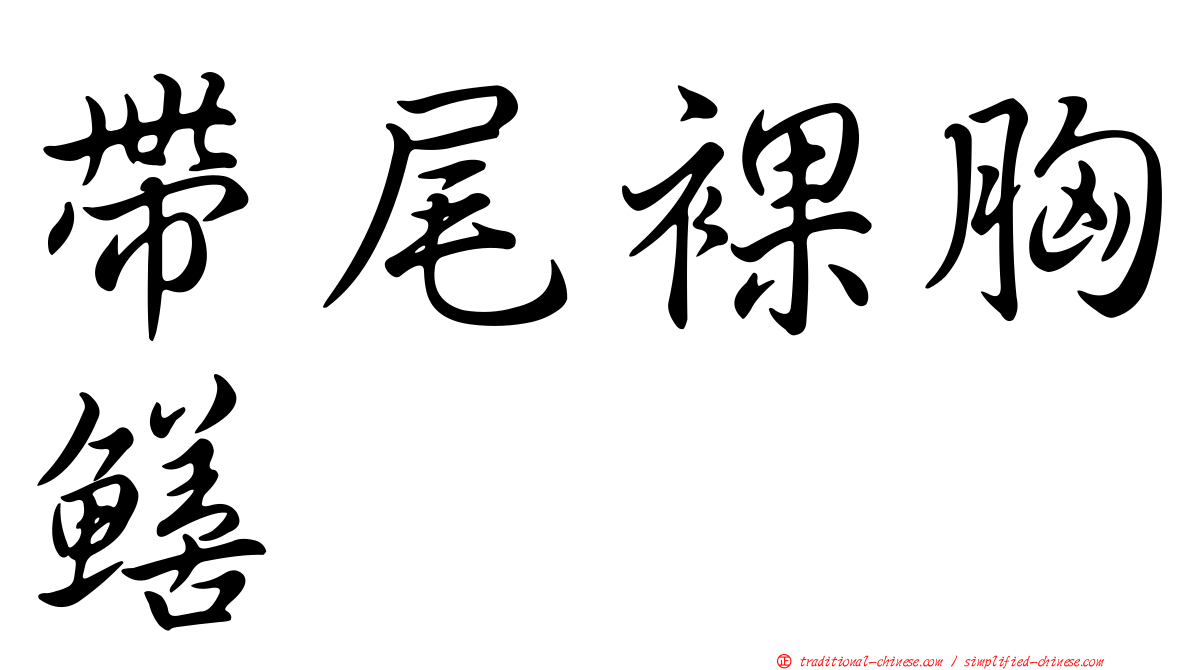 帶尾裸胸鱔