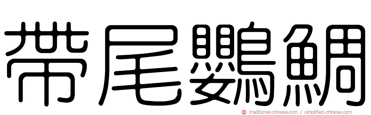 帶尾鸚鯛