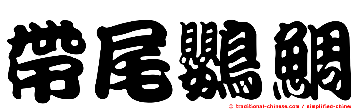 帶尾鸚鯛
