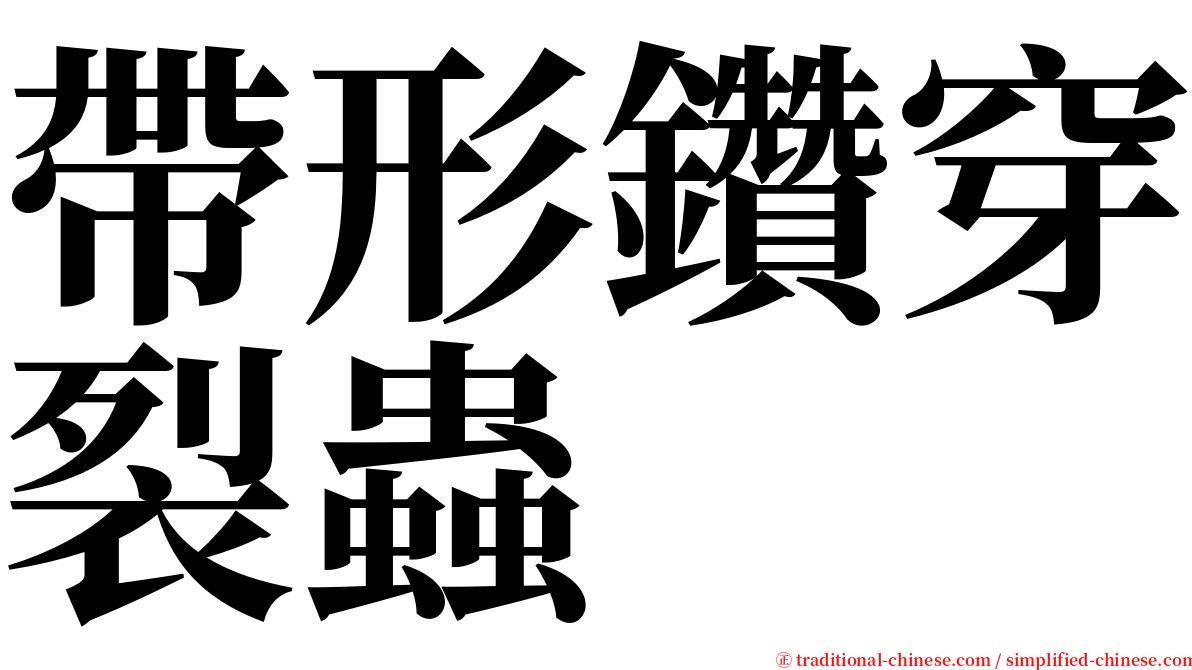 帶形鑽穿裂蟲 serif font