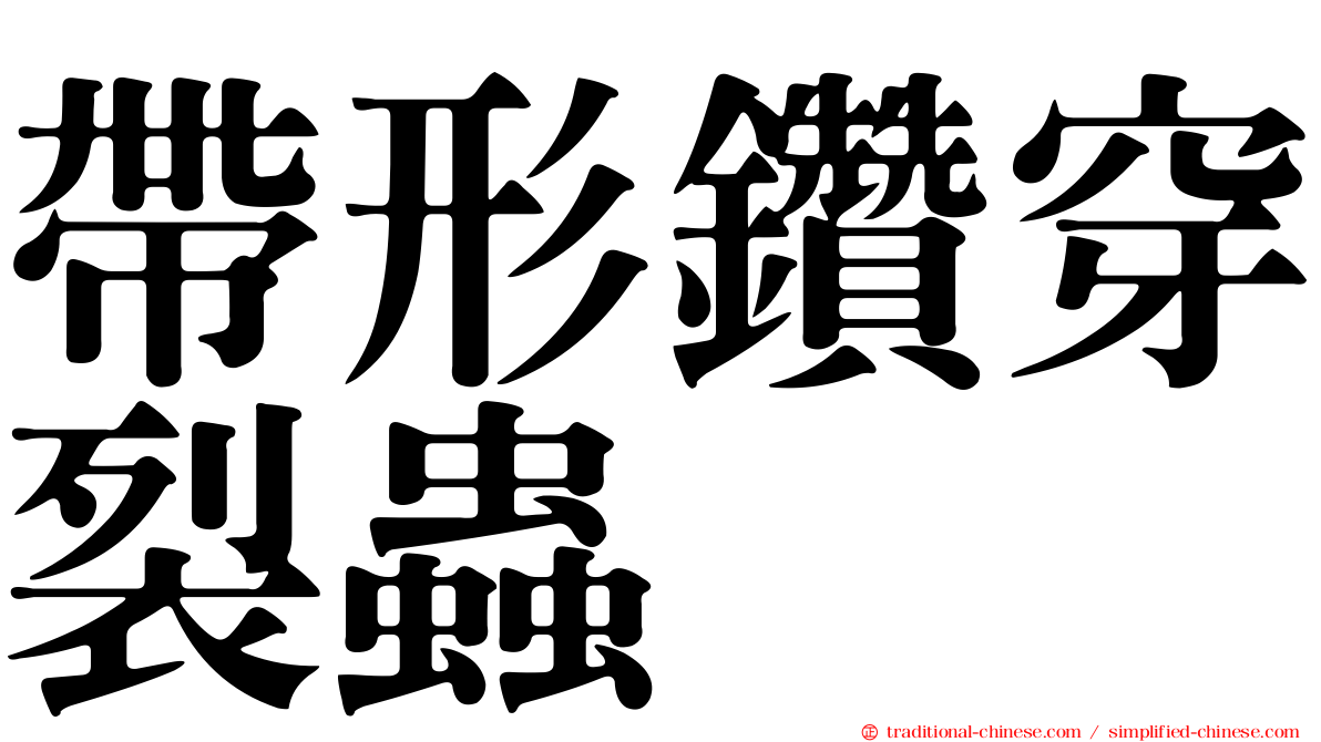 帶形鑽穿裂蟲