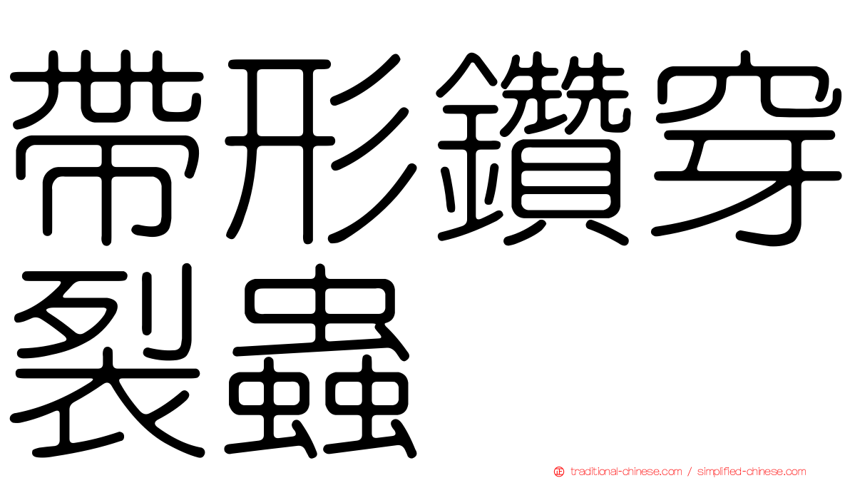 帶形鑽穿裂蟲