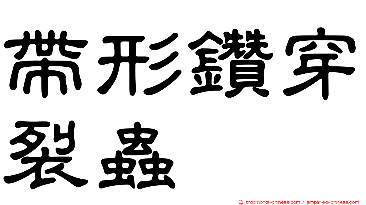 帶形鑽穿裂蟲