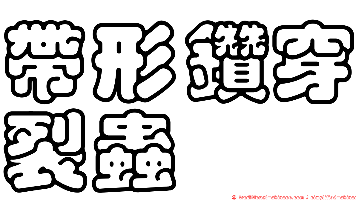 帶形鑽穿裂蟲