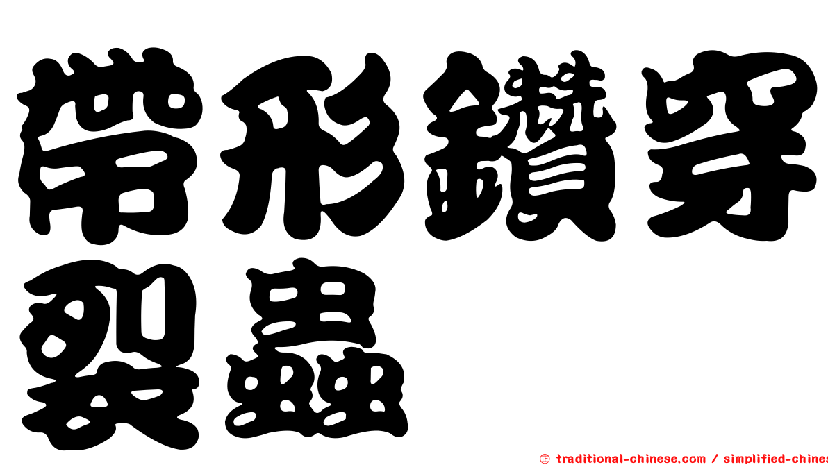 帶形鑽穿裂蟲