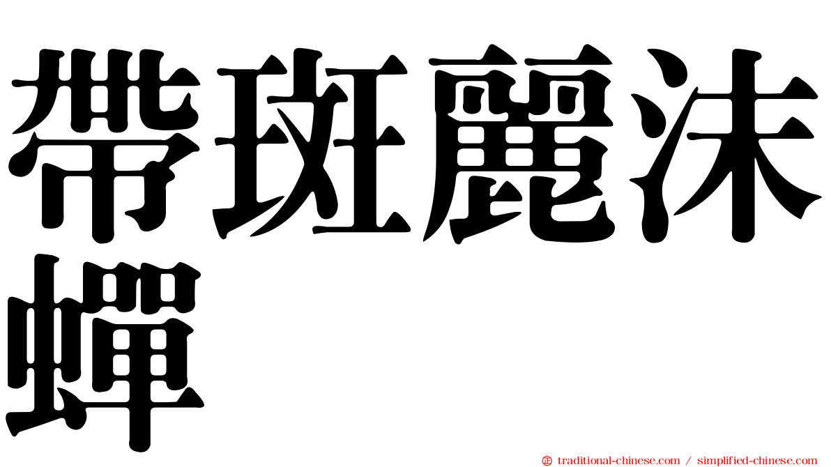 帶斑麗沫蟬