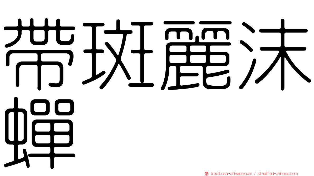 帶斑麗沫蟬