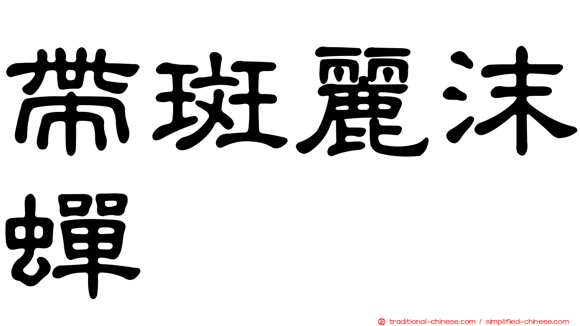 帶斑麗沫蟬