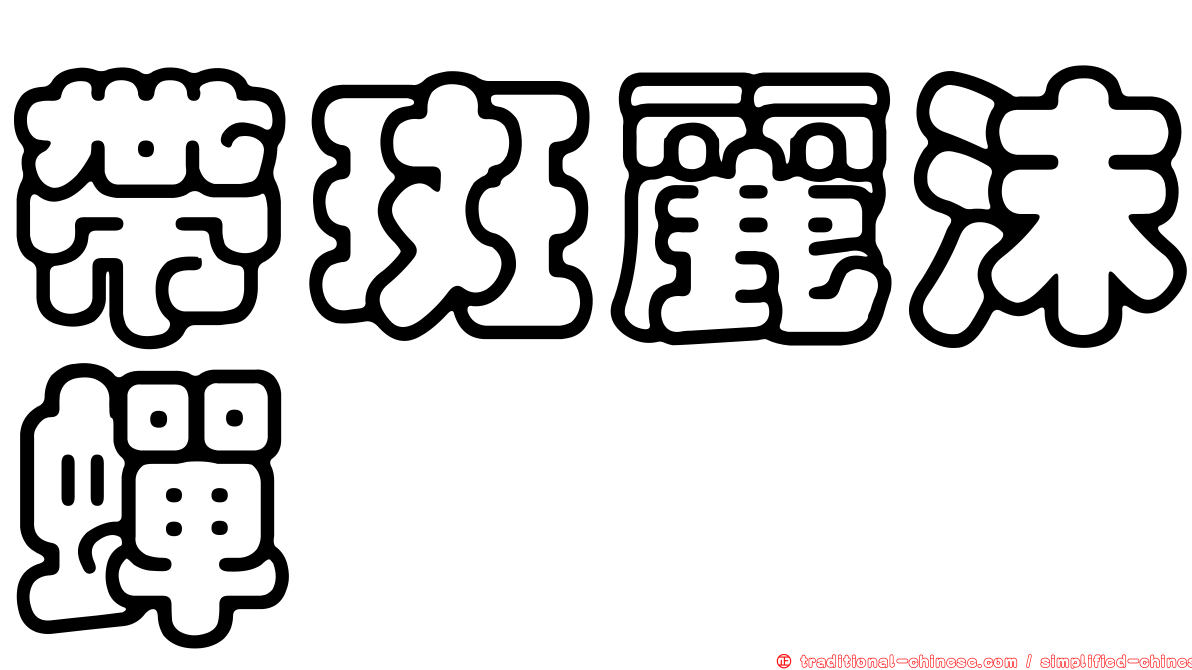 帶斑麗沫蟬