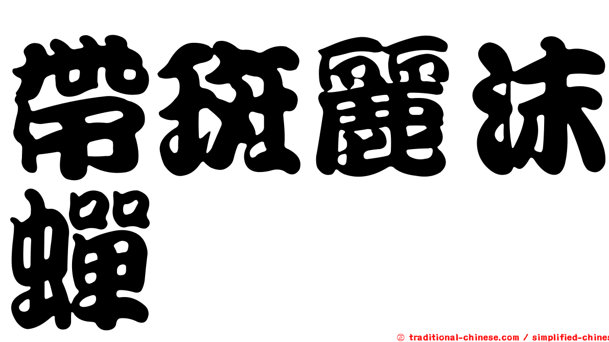 帶斑麗沫蟬