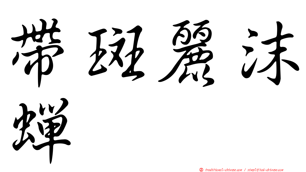 帶斑麗沫蟬