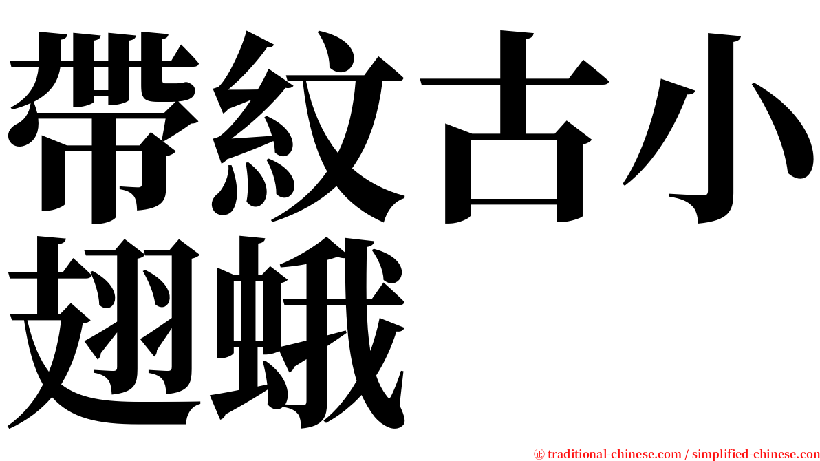 帶紋古小翅蛾 serif font