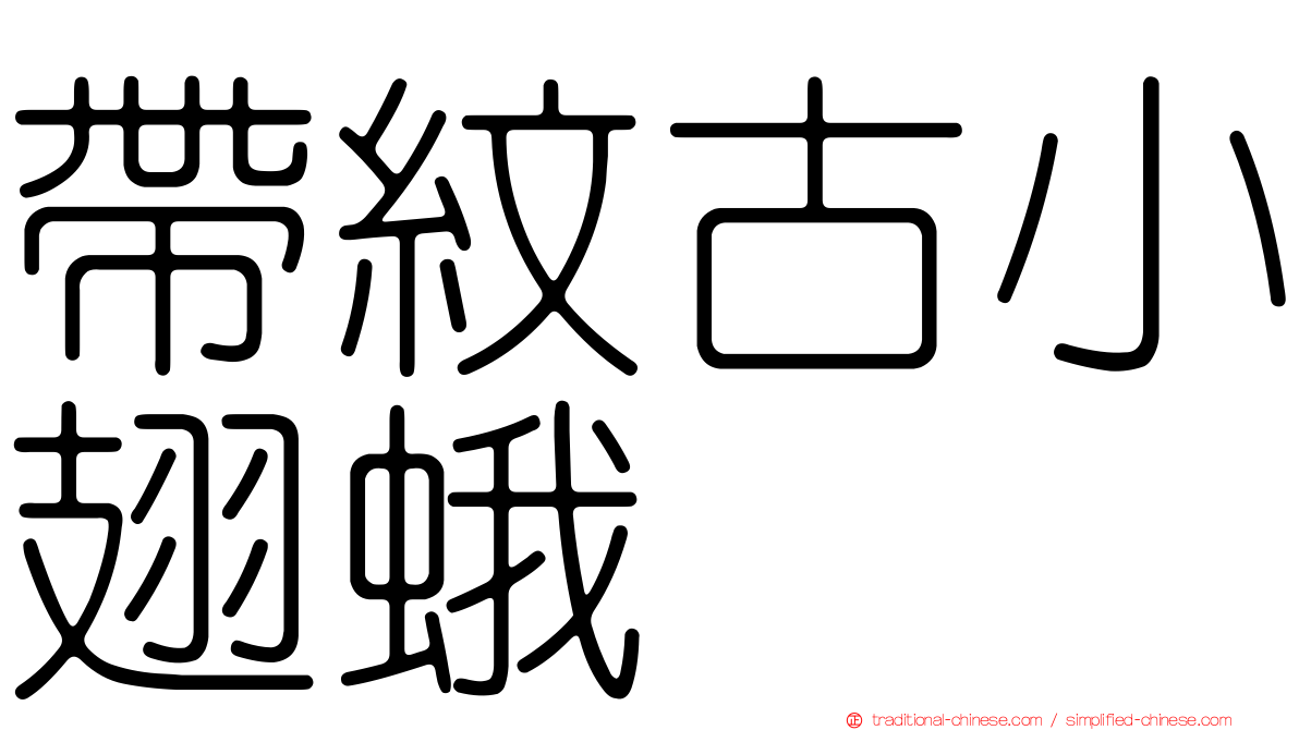 帶紋古小翅蛾
