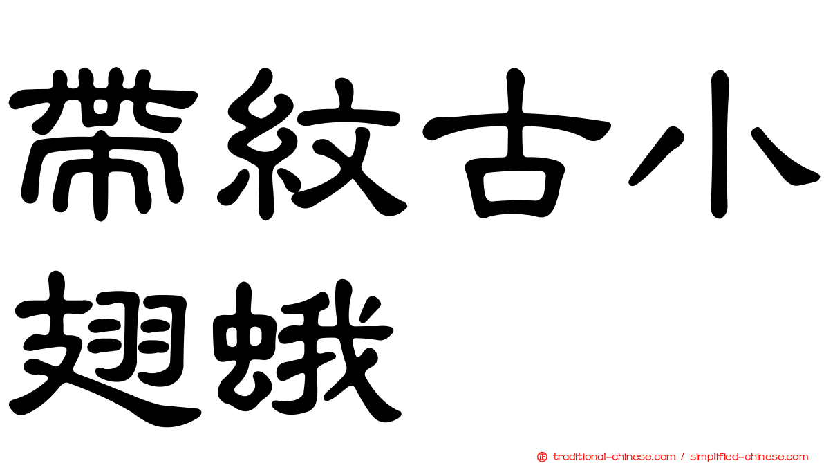 帶紋古小翅蛾