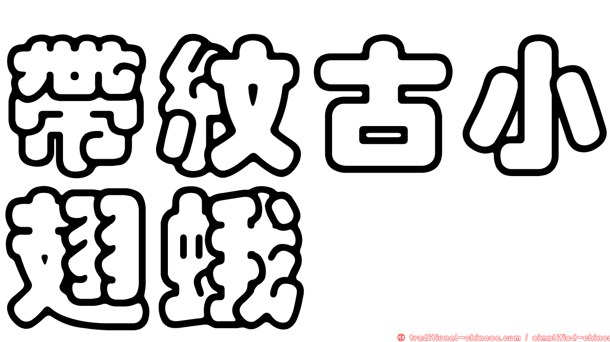 帶紋古小翅蛾