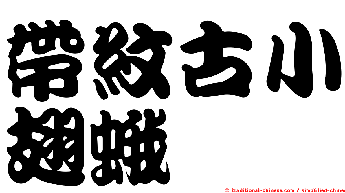 帶紋古小翅蛾