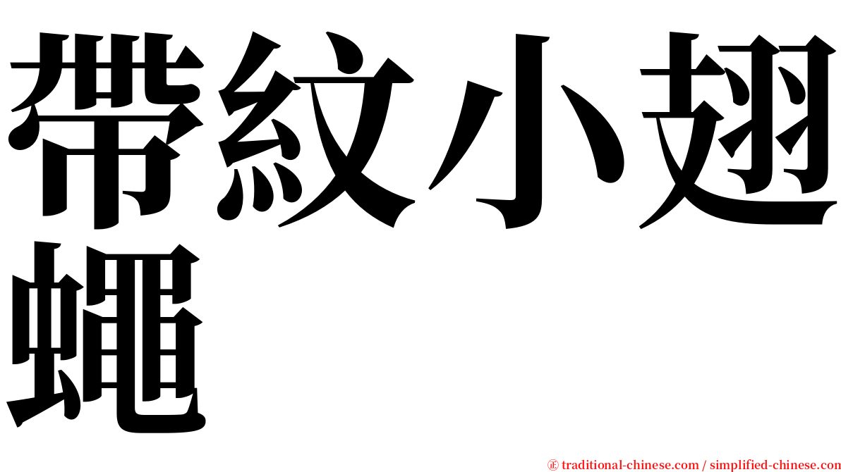 帶紋小翅蠅 serif font