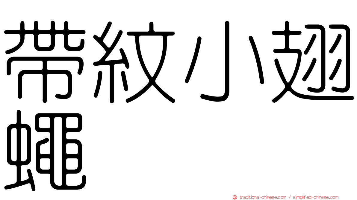 帶紋小翅蠅
